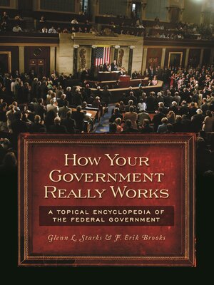cover image of How Your Government Really Works